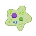 Amoeba cell. Small unicellular animal. Virus and bacteria