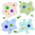 Amoeba cell. Small unicellular animal. Virus and bacteria. Education and science.