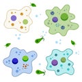 Amoeba cell. Small unicellular animal. Virus and bacteria. Education and science.