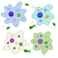 Amoeba cell. Small unicellular animal. Virus and bacteria. Education and science.