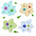 Amoeba cell. Small unicellular animal. Virus and bacteria. Education and science.