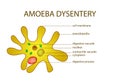 AMOEBA DYSENTERY Royalty Free Stock Photo