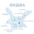 Amoeba structure hand drawn image