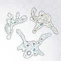 Amoeba structure hand drawn image