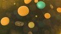 amoeba unicellular organism 3d illustration. eukaryotic organisms Royalty Free Stock Photo