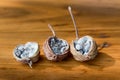 Amomum villosum Lour dried opened fruits on a wooden table