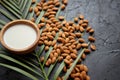 Amond seeds with bowl of fresh natural milk placed on black stone background