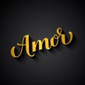 Amor gold calligraphy hand lettering on black background. Love inscription in Spanish. Valentines day typography poster
