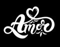 Amor. `Love` in Portuguese. Hand drawn lettering.