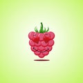 Amorous cartoon raspberries symbol. Cute smiling raspberries icon isolated on green background