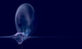 Amorphous blue transparent creature like fairy jellyfish in deep blue infinity of ocean abyss.