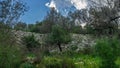 Amos Ancient City, City Walls from Marmaris, Kumlubuk, Turkey