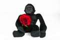 Gorilla Soft toy with red rose for Valentines day Royalty Free Stock Photo