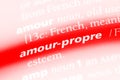 amour-propre Royalty Free Stock Photo