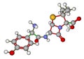 Amoxicillin molecular model Royalty Free Stock Photo