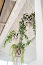 plant in a pot and macrame hanging on the ceiling
