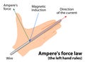 Ampere's force law