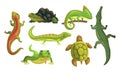 Amphibian Animals Collection, Turtle, Chameleon, Lizard, Crocodile, Salamander Vector Illustration on White Background Royalty Free Stock Photo