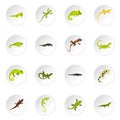 Amphibian icons set, flat style Royalty Free Stock Photo