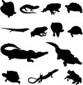 Amphibians and reptiles