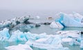 Amphibious vehicle takes tourists on iceberg watching tour in Jokulsarlon lagoon Royalty Free Stock Photo