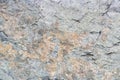 Amphibolite metamorphic rock texture