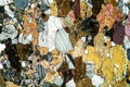 Amphibolite rock under the microscope
