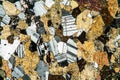 Amphibolite rock under the microscope