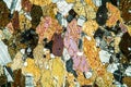Amphibolite rock under the microscope