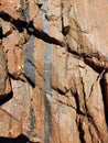 Amphibolites - Port Neill Geology