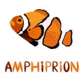 Amphiprion, Clownfish orange bright sea dweller in scandinavian style, hand drawn Royalty Free Stock Photo