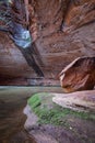 The Amphitheater, Cathedral Gorge, Purnululu National Park
