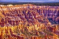 Amphitheater Hoodoos Bryce Canyon National Park Utah Royalty Free Stock Photo