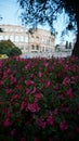 Amphitheater of Pula, Croatia, with flowers Royalty Free Stock Photo