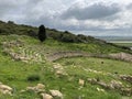 The amphitheatre of Lixus