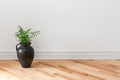 Amphora with green plant decorating a room