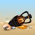 Amphora and shells Royalty Free Stock Photo