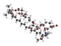 Amphotericin B antifungal drug molecule. Atoms are represented as spheres with conventional color coding: hydrogen (white), carbon