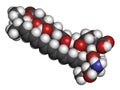 Amphotericin B antifungal drug molecule. Atoms are represented as spheres with conventional color coding: hydrogen (white), carbon