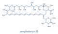 Amphotericin B antifungal drug molecule. Skeletal formula.