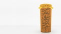 AMPICILLIN generic drug pills in a prescription bottle