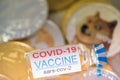 Ampoules Vaccine Covid 19 coronavirus on group of Dogecoin DOGE included with Cryptocurrency coin bitcoin, Ethereum ETH, Binance