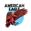 Amrican eagle Royalty Free Stock Photo