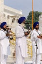 Amritsar, India - November 21, 2011: Sikh musicians at the Golden Temple complex, Amritsar, Punjab, India