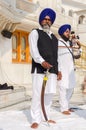 Amritsar, India - November 21, 2011: Sikh musicians at the Golden Temple complex, Amritsar, Punjab, India