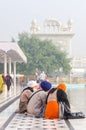 Amritsar, India - November 21, 2011: The Sikh pilgrims meditates on the Amrit Sarovar lake in the Golden Temple complex. Amritsar