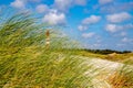 Amrum lighthouse behind dune grass