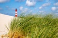 Amrum lighthouse behind dune grass