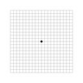 Amsler grid basic version with dot in center. Template of graphic test to monitoring central visual field and detecting