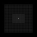 Amsler grid type with central squares divided into 0,5 degree squares. Graphic test to detecting vision defects